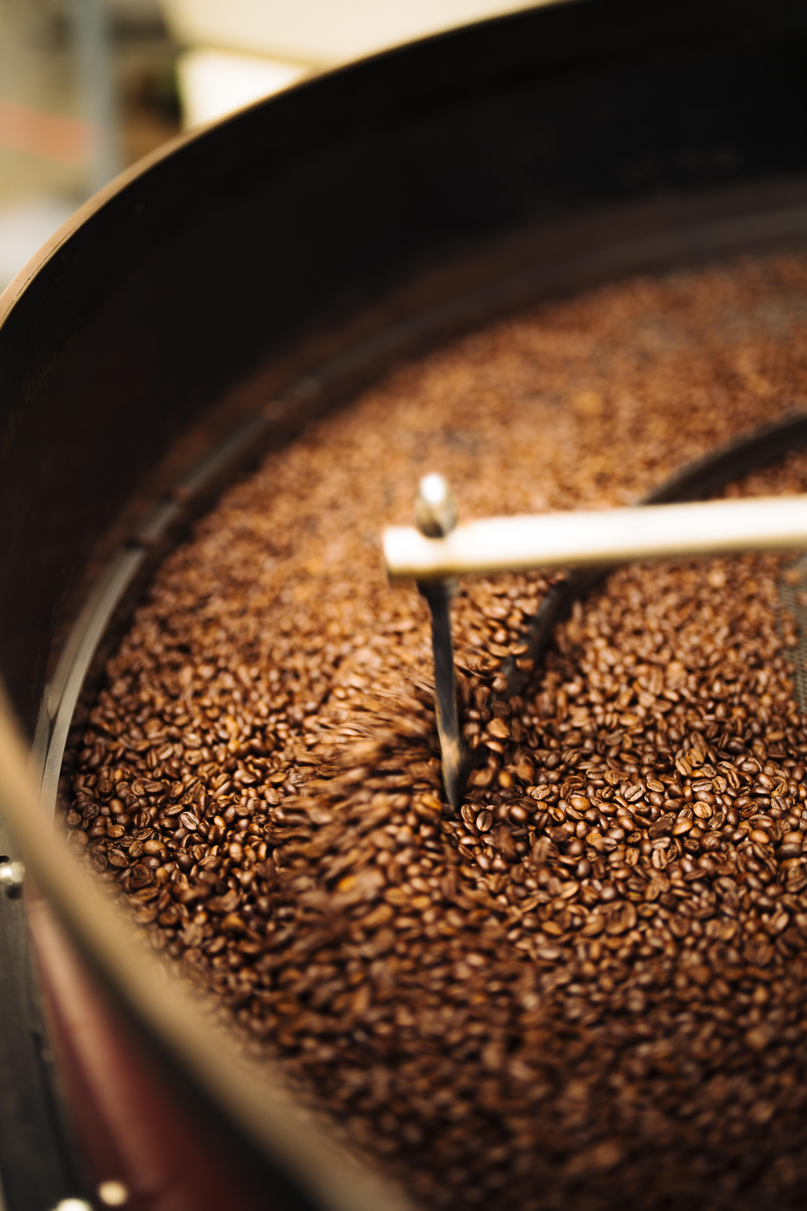 Cooling tray with fresh roasted beans